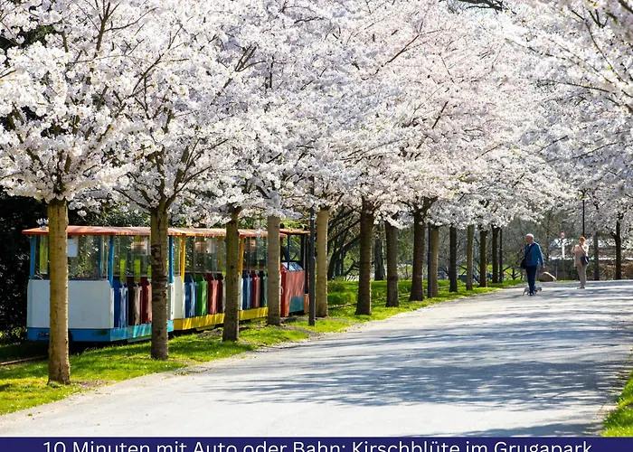 Modernes, Zentrales City-apartment Am Kennedyplatz, Nahe Hauptbahnhof Und Limbecker Platz, Lichtdurchflutete Raeume Lejlighed *